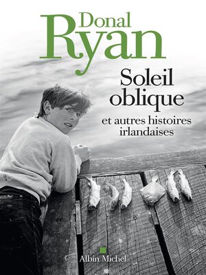 cover image of Soleil oblique et autres histoires irlandaises